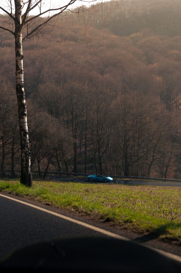 Blauwe Lamborghini in een bocht tussen de bossen