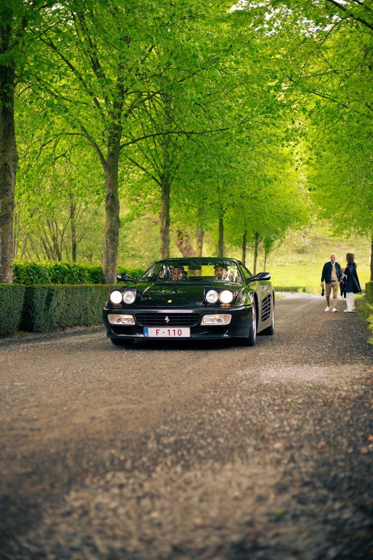 Zwarte Ferrari Testarossa in een groene dreef